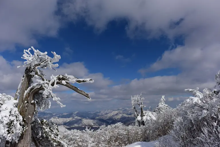 Breathtaking winter mountain scene with snow-laden trees under a vibrant blue sky.