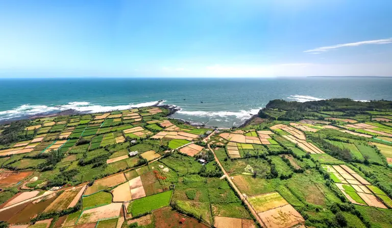 Stunning aerial view of vibrant agricultural fields meeting the ocean under a clear sky.