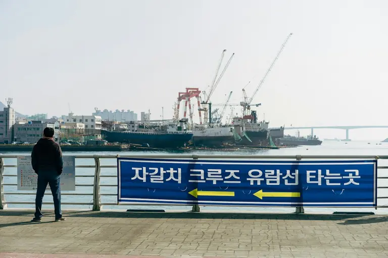 blue and white boat on dock during daytime