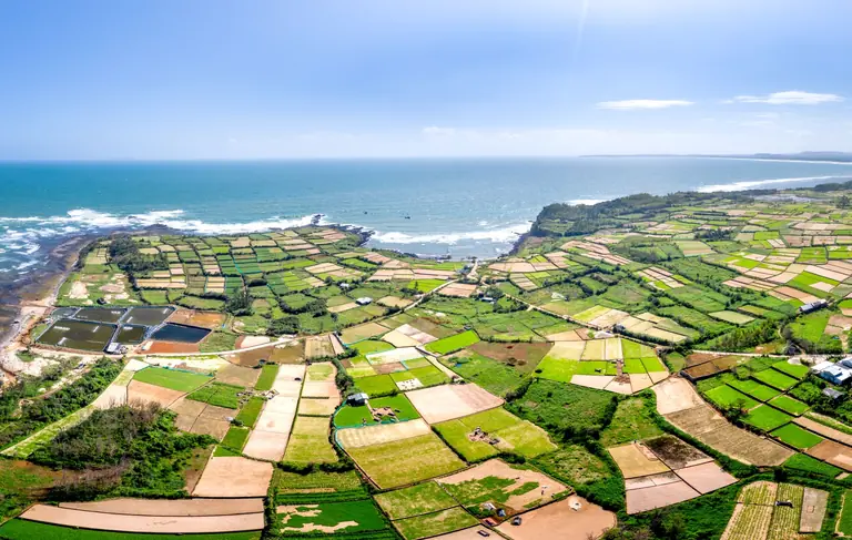 Breathtaking aerial view of lush farmland by the ocean, displaying rich patchwork patterns.