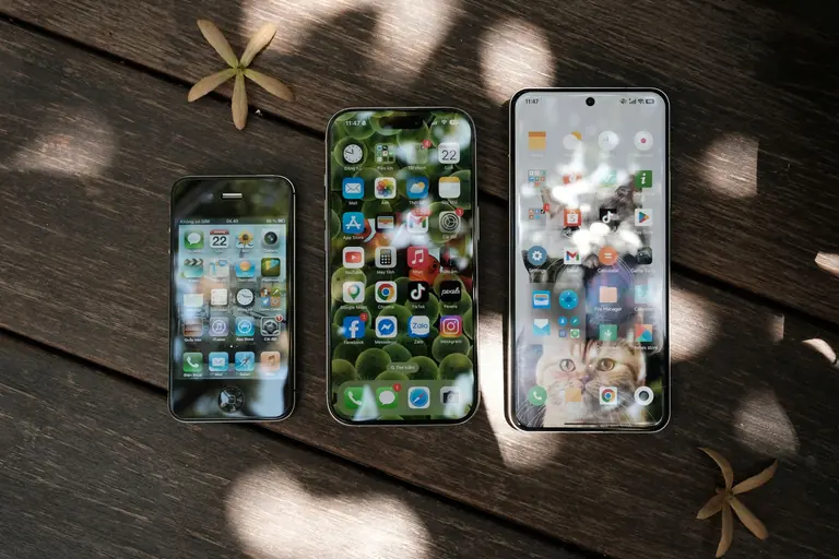 Aerial view of three smartphones with varied home screens on a wooden background with scattered dried flowers.