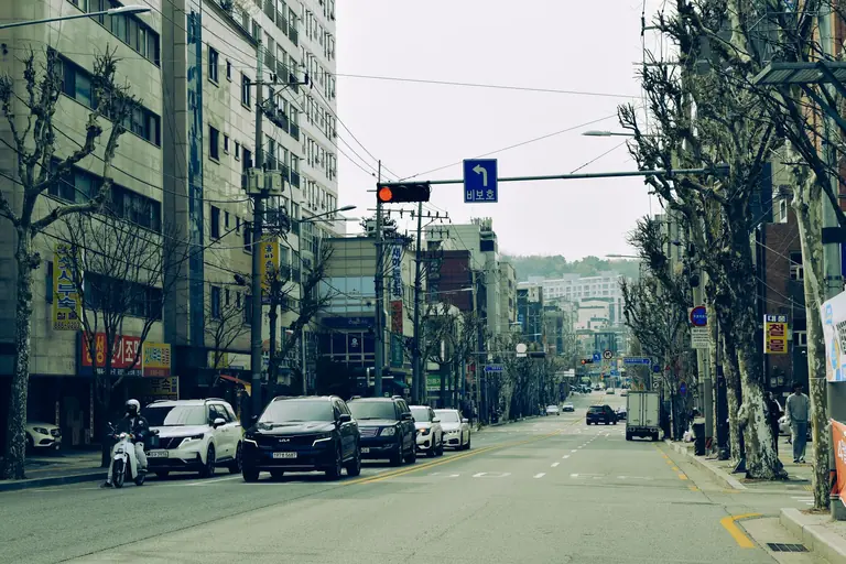 A busy street in Seoul with buildings, traffic, and bare trees lining the road.