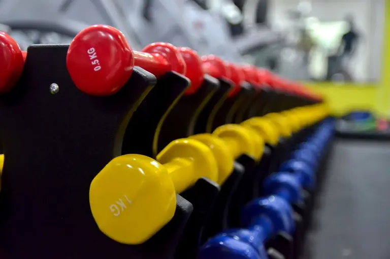 Colorful dumbbells arranged in a gym setting, perfect for fitness and exercise-related content.