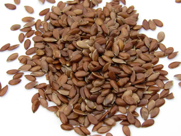 a pile of sunflower seeds on a white surface
