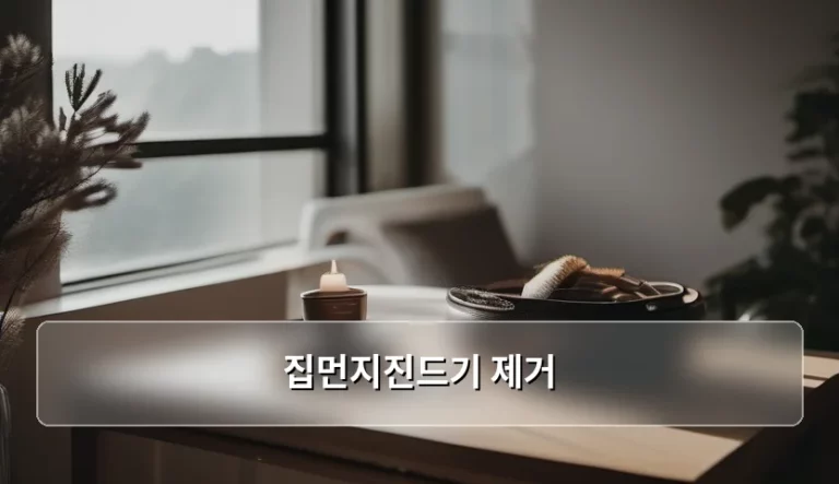 집먼지진드기 제거 방법과 쾌적한 침실 관리법