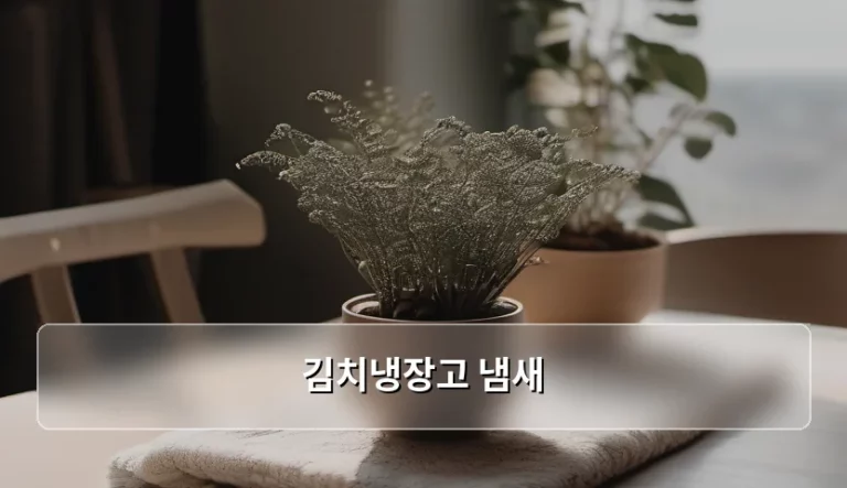 김치냉장고 냄새 제거 방법과 관리 노하우