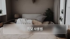 생활 속 골칫거리, 쥐덫 사용법 완벽 가이드로 해방되기