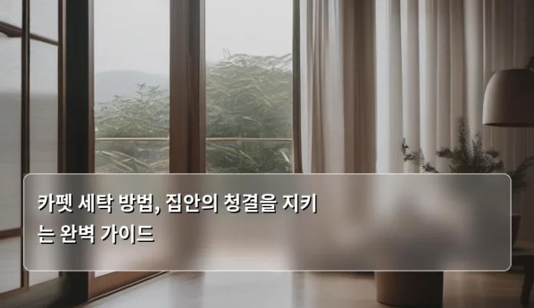 카펫 세탁 방법, 집안의 청결을 지키는 완벽 가이드