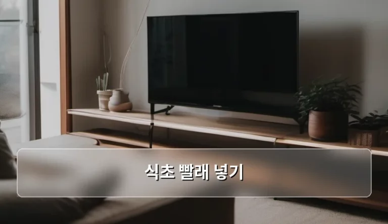식초 빨래 넣기 활용법과 주의사항 정리