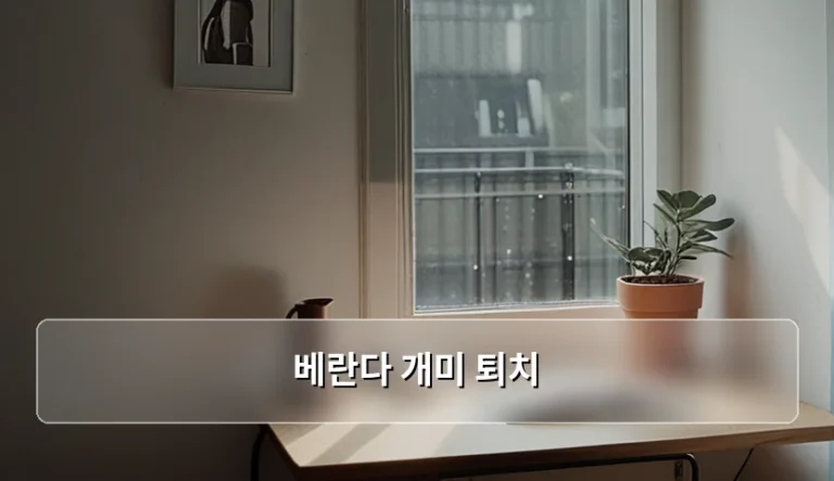 베란다 개미 퇴치 방법과 서식지 완벽 차단 가이드