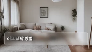 오래된 러그, 집안 분위기를 살리는 완벽한 러그 세탁 방법 대공개