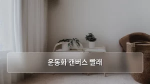 낡은 운동화 캔버스 빨래, 집에서 완벽하게 해결하는 비법 공개