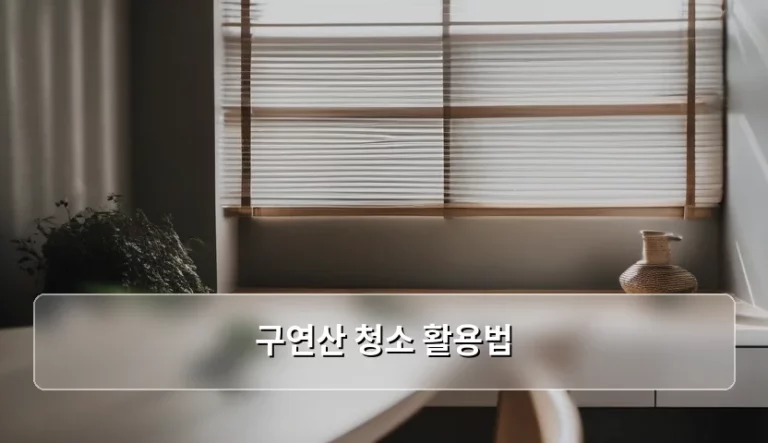 구연산 청소 활용법 및 천연 세제 사용 가이드