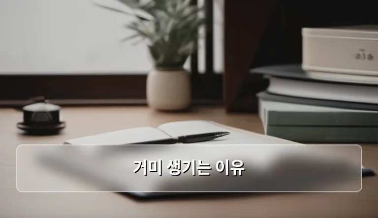 집안에 거미 생기는 이유와 예방 방법 정리