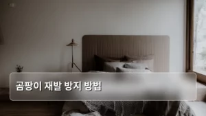 곰팡이 재발 방지 방법으로 뽀송한 생활 공간 만들기