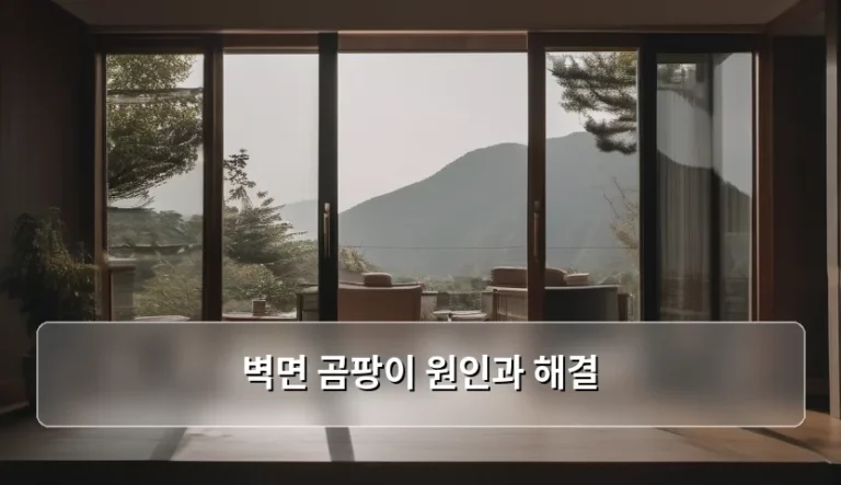 쾌적한 우리 집을 방해하는 벽면 곰팡이 원인과 해결 방법 완벽 가이드