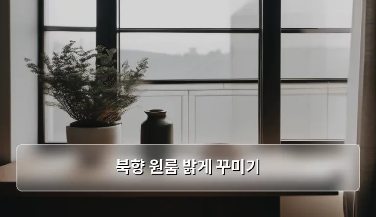 북향 원룸 밝게 꾸미기 인테리어 팁