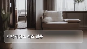 세탁기 청소 식초 활용으로 찌든 때 완벽 제거하는 법