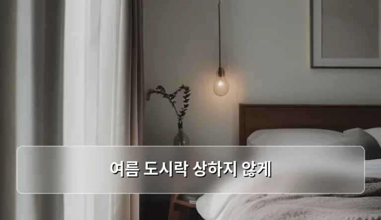 여름 도시락 상하지 않게 관리하는 보관 방법 노하우