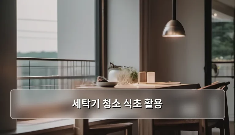 세탁기 청소 식초 활용법 및 관리 노하우