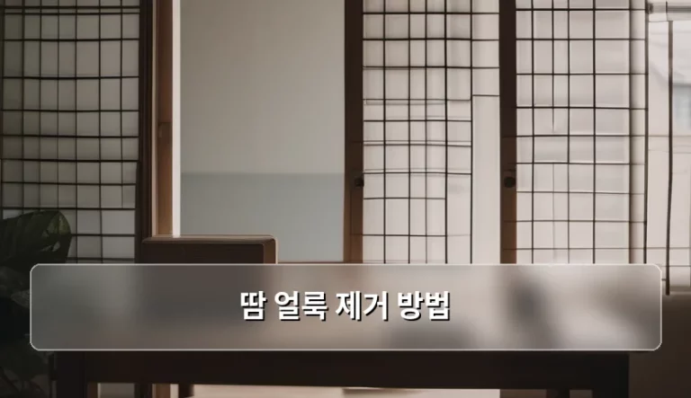 땀 얼룩 제거 방법 및 옷감별 관리 가이드