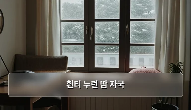 흰티 누런 땀 자국 제거 방법과 예방 가이드