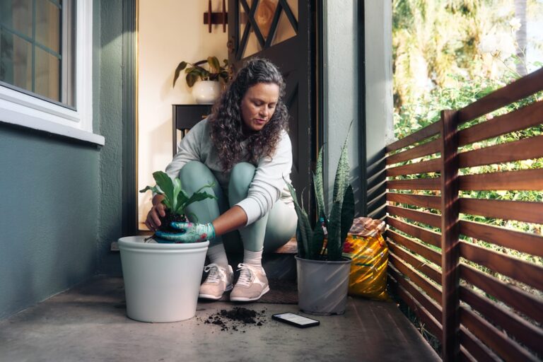 Woman planting a small houseplant in a pot.