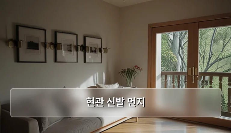 현관 신발 먼지 제거 방법과 깨끗한 유지 관리법