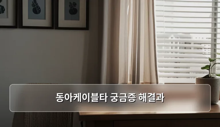 동아케이블타 궁금증 해결과 가입 전 체크리스트