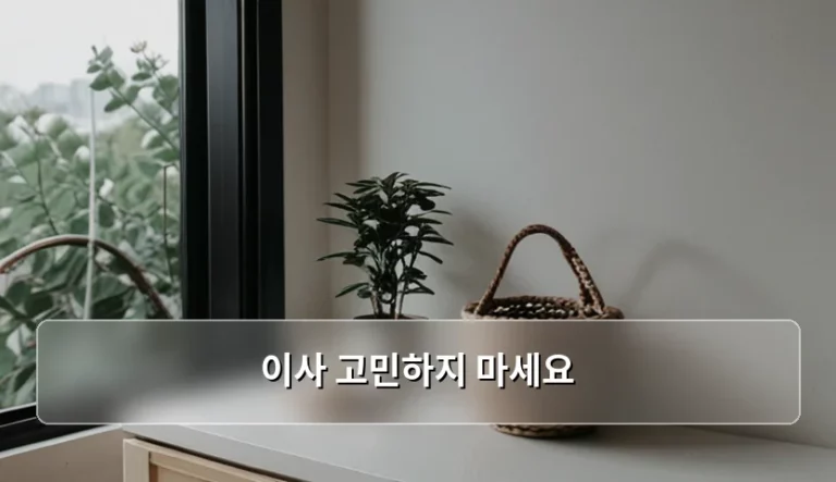 이사 고민하지 마세요 합리적인 비용과 업체 선택 가이드