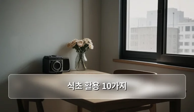 살림 고수가 알려주는 식초 활용 10가지 꿀팁 모음
