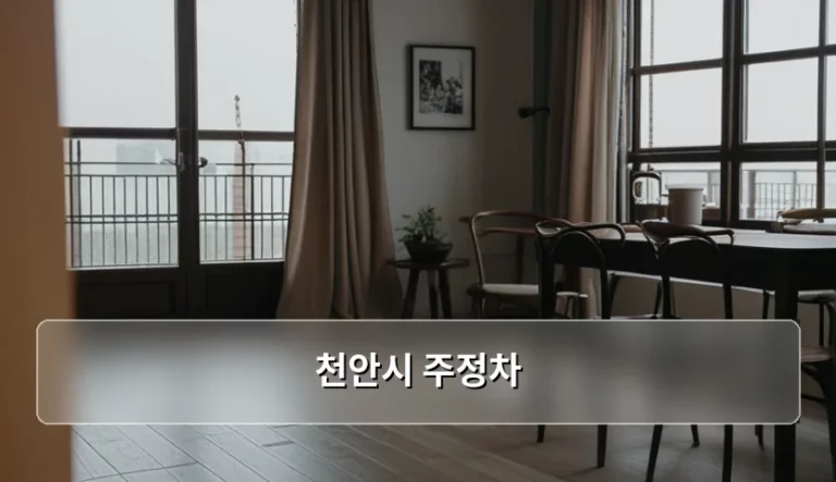 천안시 주정차 단속 기준과 과태료 예방법 정리