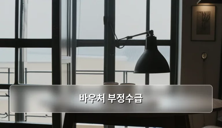 바우처 부정수급 기준과 환수금 및 처벌 규정 정리