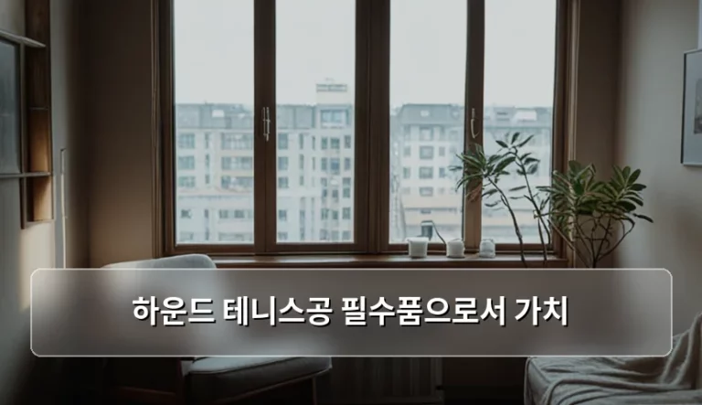 하운드 테니스공 선택 기준과 반려견 건강 관리 가이드